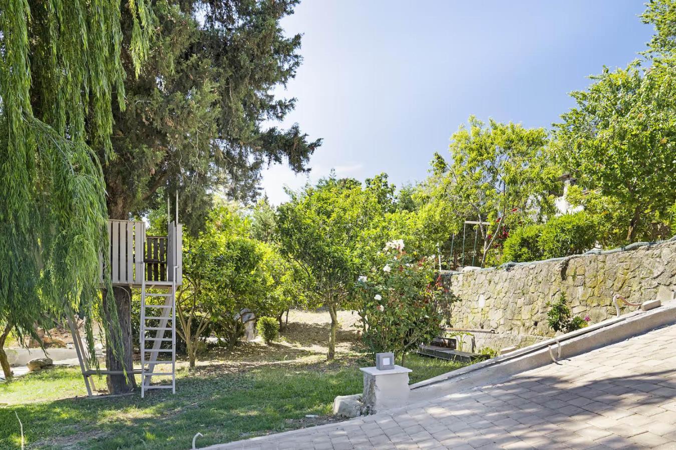 Paradiso Verde Lixouri Zewnętrze zdjęcie